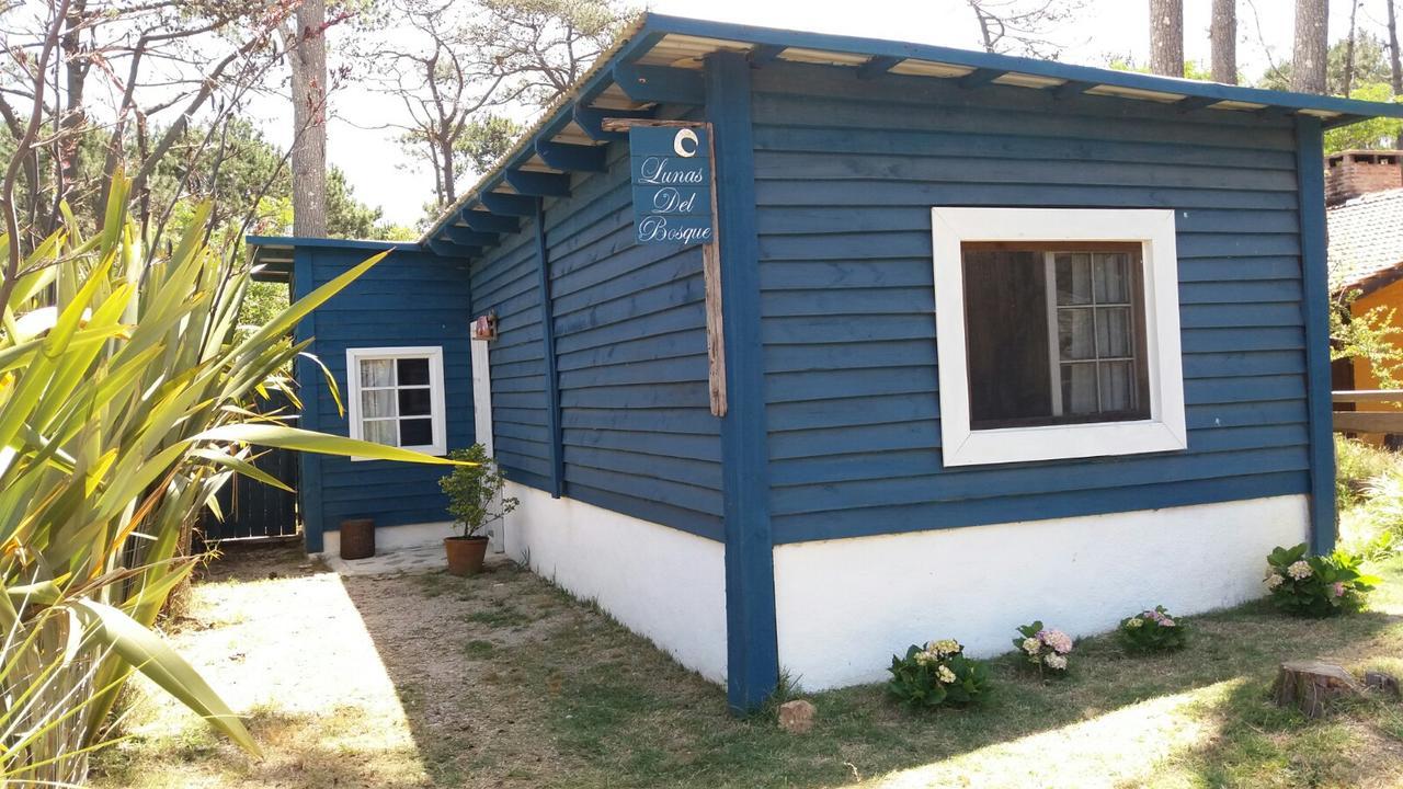 Lunas Del Bosque Cabana Y Apartamento En Suite La Paloma Exterior foto